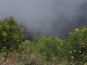 10525621_10203680660711125_7917622950875296843_n