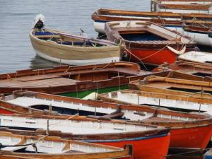 1069805_10203634174989011_7904774529663839527_n